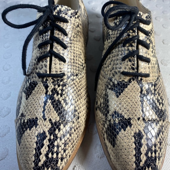 COLE HAAN Modern Classic Oxford - Python Printed Leather - Picture 3 of 16